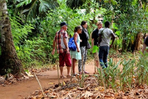 Sansibar: Stone Town Tour und Besuch der Spice Tour