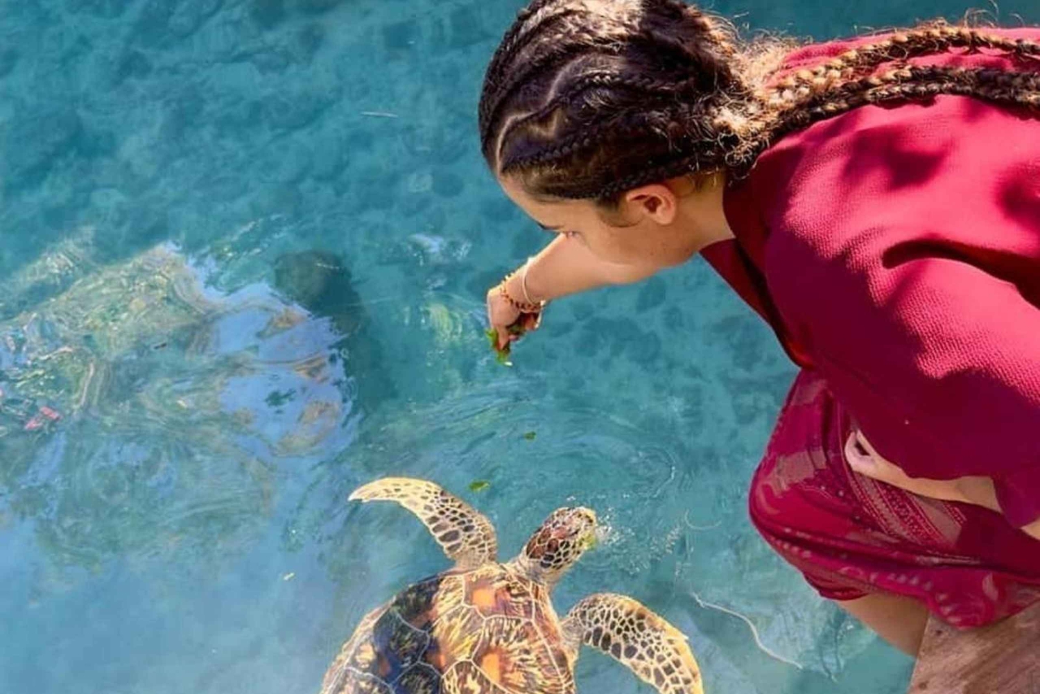 Zanzibar: tour di Stone Town, foresta di Jozani e grotta di Salaam.