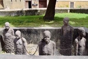 Zanzibar: tour di Stone Town, foresta di Jozani e grotta di Salaam.