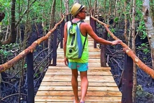 Zanzibar: tour di Stone Town, foresta di Jozani e grotta di Salaam.