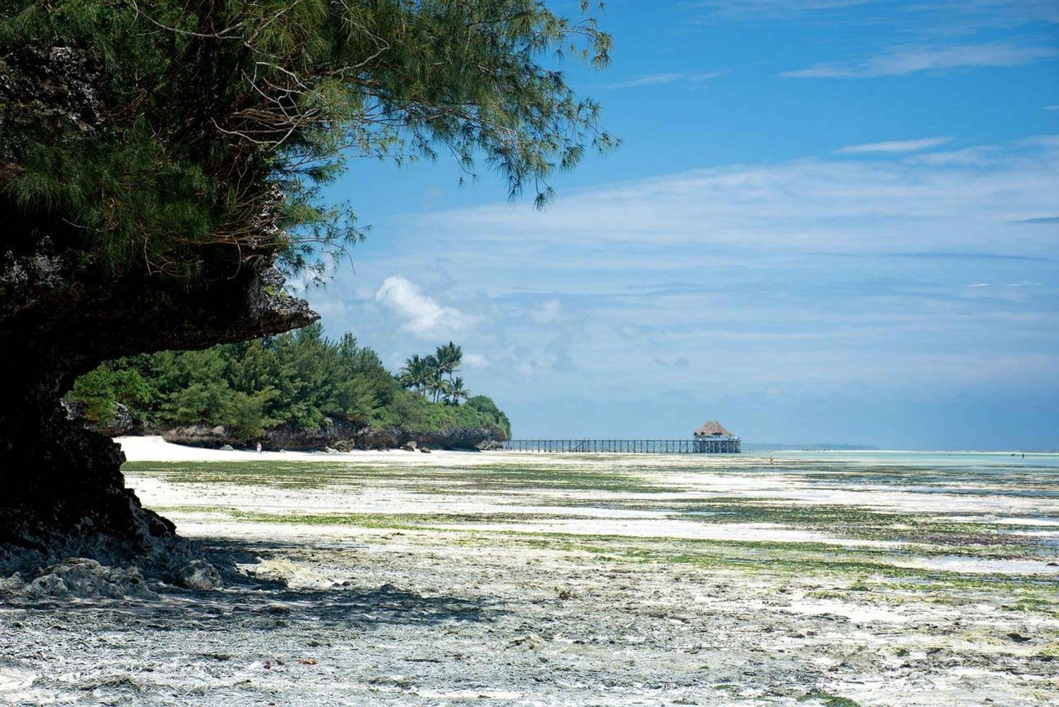 Zanzibar - Stone town city tour - walking tour with guide
