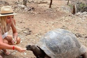 ZANZIBAR, tour di Stone Town, Prison Island e fattoria delle spezie