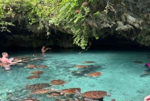 ZANZIBAR: Passeio pela Cidade de Pedra e nade com as tartarugas na gruta de Salaam