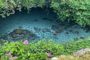 ZANZIBAR: Passeio pela Cidade de Pedra e nade com as tartarugas na gruta de Salaam