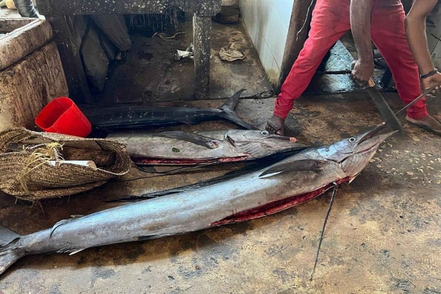 Zanzibar: Stone town tour, Sunset & night food market