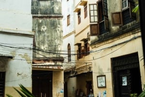 Zanzibar: Stone Town Historical Cultural Walking Guided Tour
