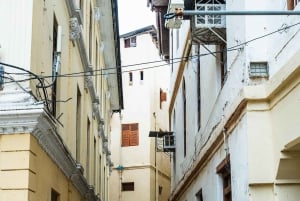 Zanzibar: Stone Town Historical Cultural Walking Guided Tour