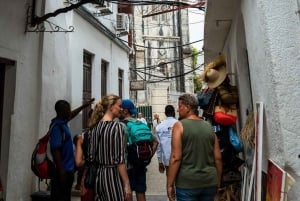 Zanzibar: Stone Town Historical Cultural Walking Guided Tour