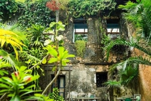 Zanzibar: Stone Town Historical Cultural Walking Guided Tour