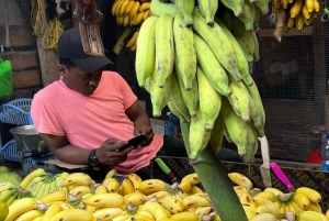 Zanzibar: Stone Town-tur med billett til slavemarkedet