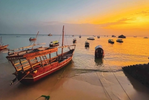Zanzibar: Stone Town-tur med billett til slavemarkedet