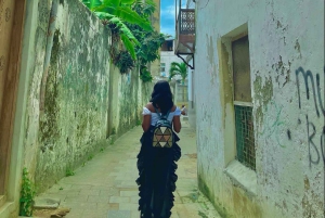 Zanzibar: Stone Town-tur med billett til slavemarkedet