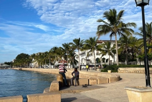 Zanzibar: Stone Town-tur med billett til slavemarkedet