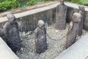 Tour a pie por la ciudad de piedra de Zanzíbar y el bosque de Jozani