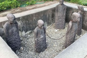 Пешая экскурсия по Каменному городу Занзибара и лесу Джозани