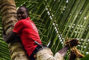 ZANZIBAR, Stone town tour, Prison Island & Spice farm