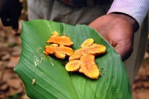 ZANZIBAR, Stone town tour, Prison Island & Spice farm