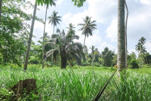ZANZIBAR, Stone town tour, Prison Island & Spice farm