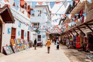 Zanzibar : visite à pied de la ville de pierre avec un guide de la région.