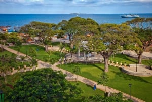 Rundvandring på Zanzibar: Avslöja hemligheterna i Stonetown