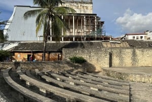 Zanzibar Stonetown Highlight vandringstur
