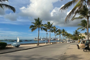 Zanzíbar Stonetown Highlight tour a pie