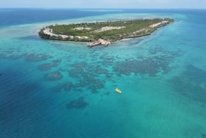 Ubåtsäventyr på Zanzibar: Den klassiska turen till revet