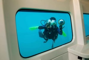 Sansibarin sukellusveneseikkailu: Riffikierros: The Classic Reef Tour