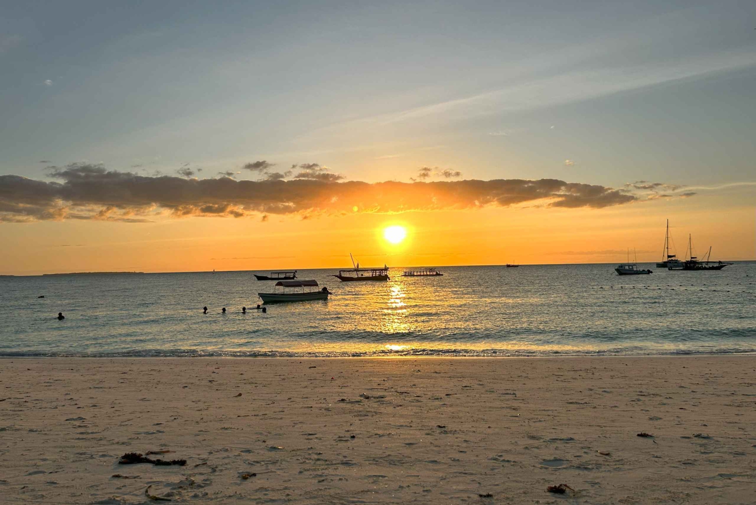 Zanzibar: Solnedgangscruise med sejlads i dhow med afhentning