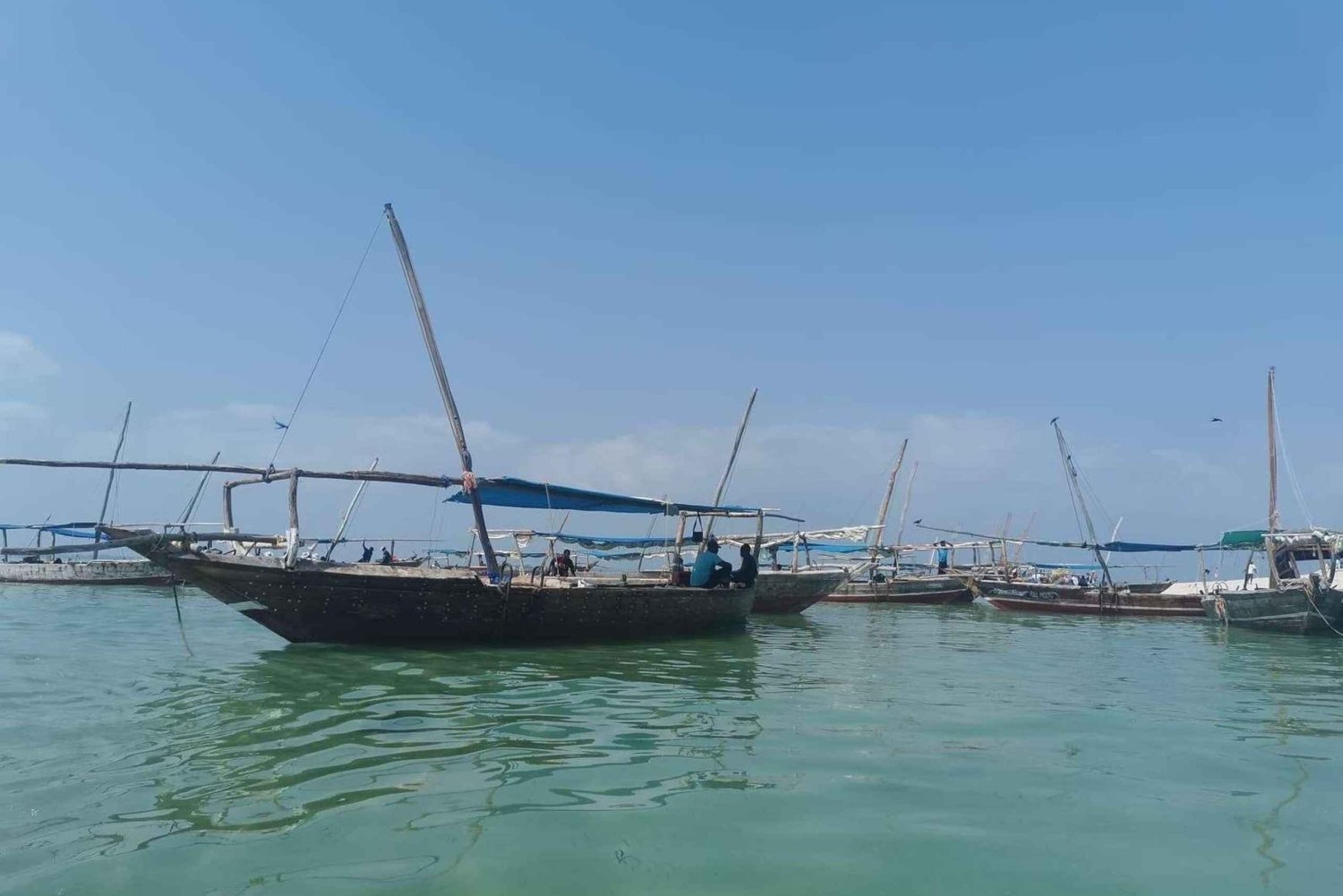 Zanzibar: Jozani-skogen, Stone Town og Nakupenda-tur