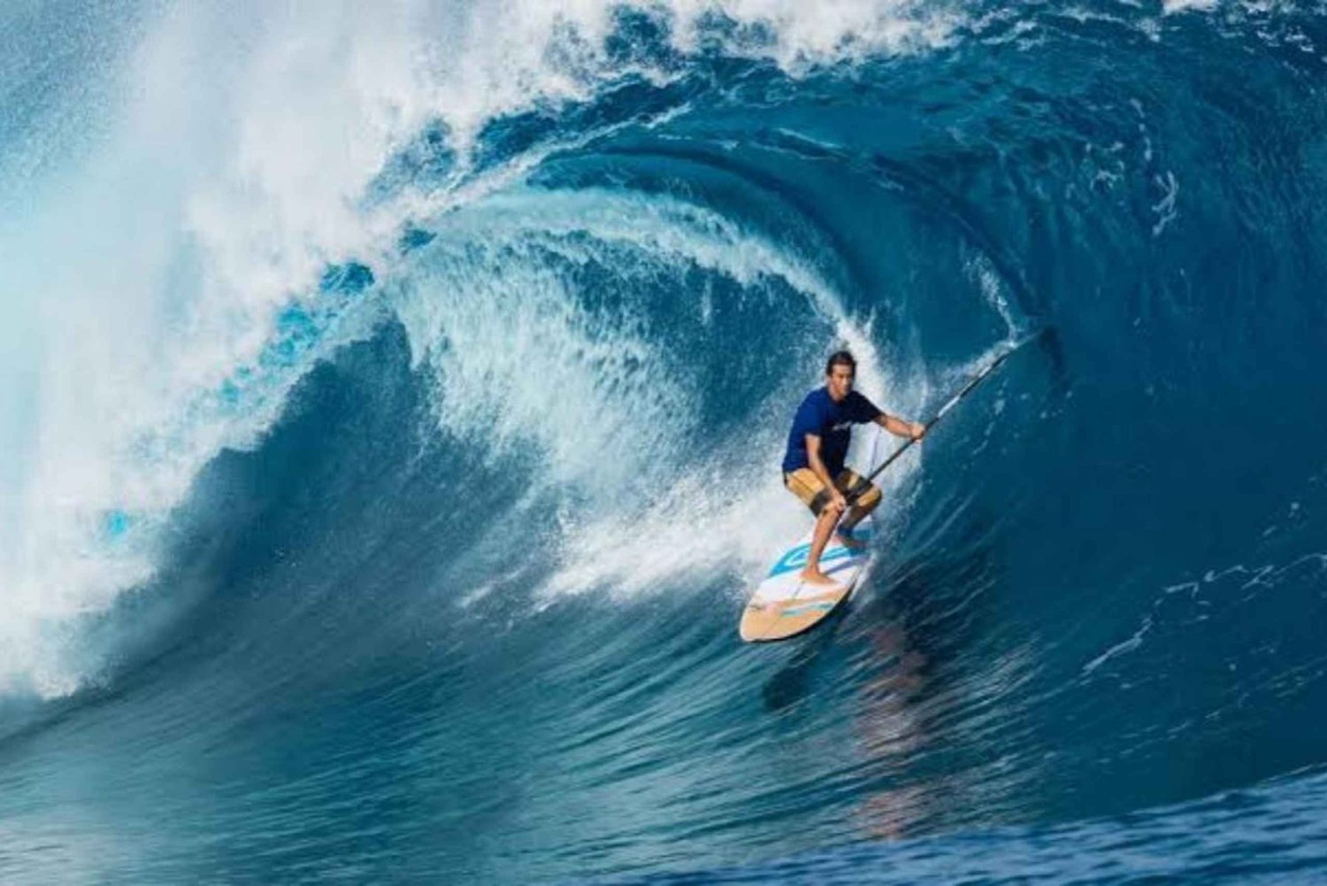 Zanzibar: The Rock, Paje Beach, Jozani Forest & Salaam Cave