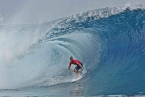 Zanzibar: The Rock, Paje Beach, Jozani Forest & Salaam Cave