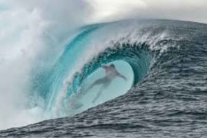 Zanzibar: The Rock, Paje Beach, Jozani Forest & Salaam Cave