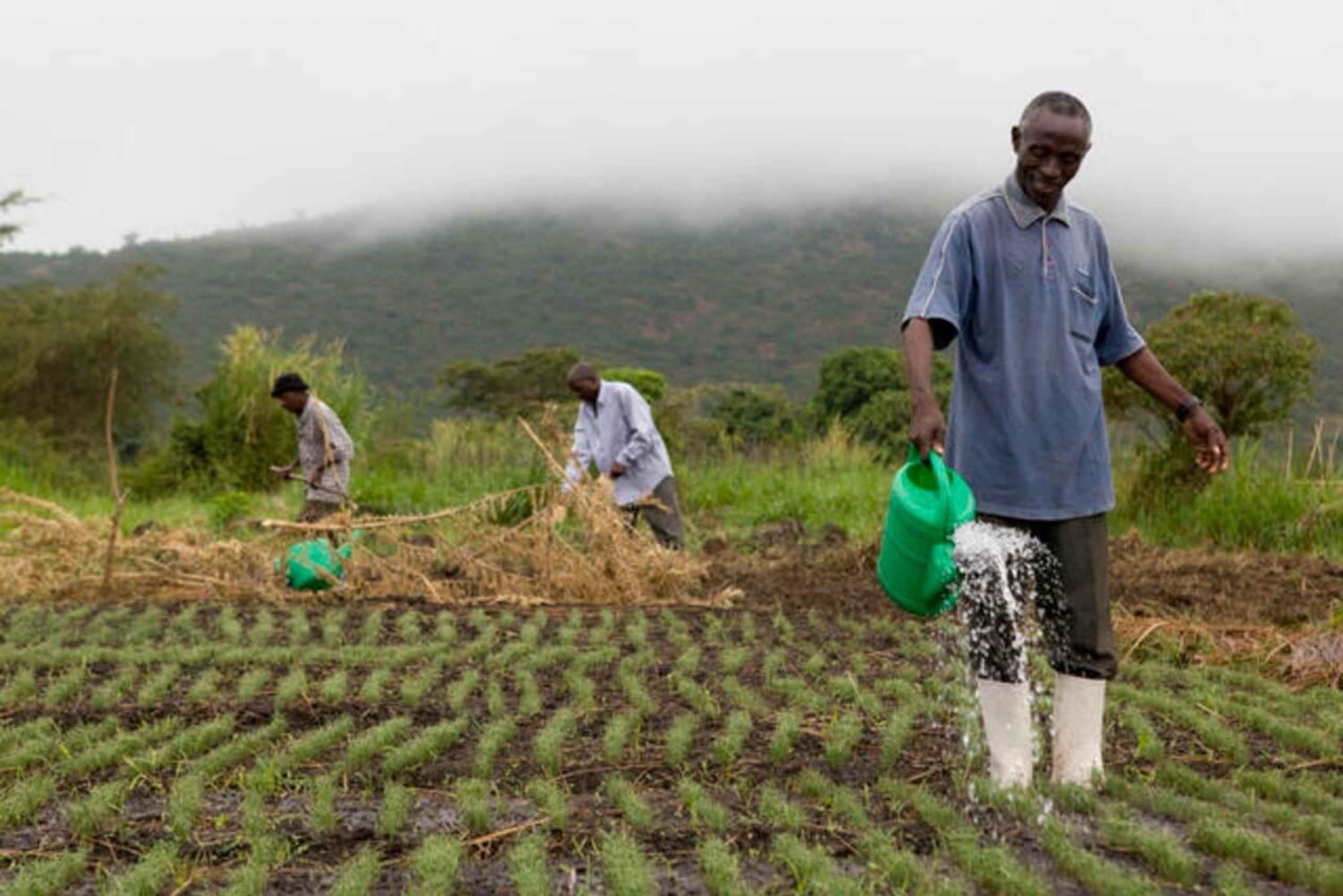 Zanzibar: esperienza in fattoria e villaggio sostenibili