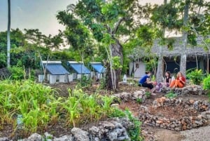 Zanzibar: esperienza in fattoria e villaggio sostenibili