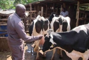 Zanzibar: esperienza in fattoria e villaggio sostenibili