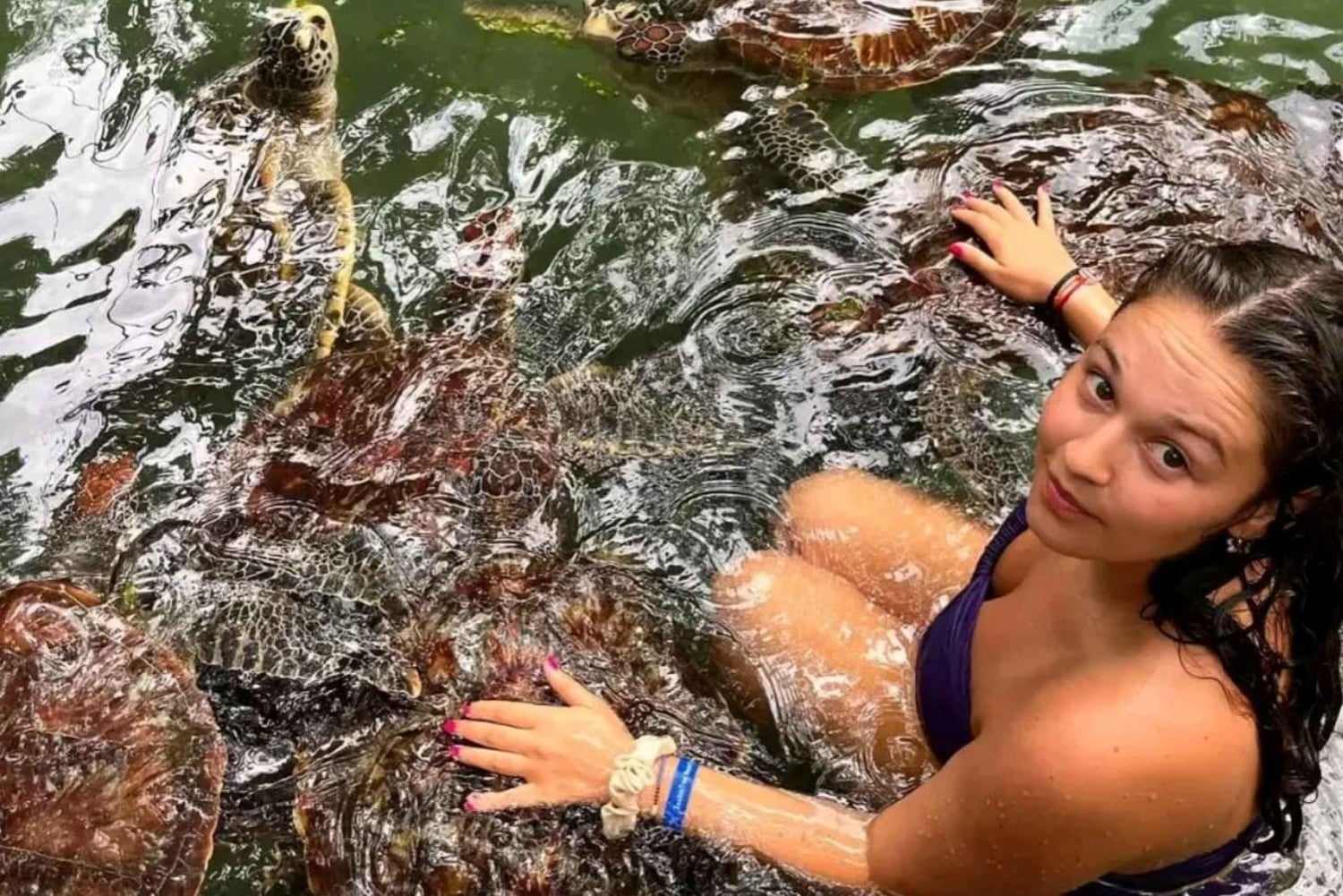 Zanzibar : nagez, faites du snorkeling et nourrissez les tortues à l'aquarium de Baraka