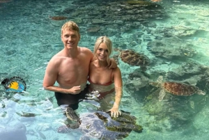 ザンジバル：バラカ水族館で泳いだり、シュノーケリングをしたり、カメに餌をやったりしてください