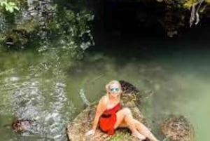 Zanzibar : nagez avec les tortues de mer à l'aquarium de Baraka ou de Salaam