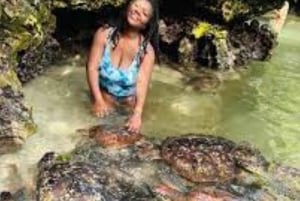 Zanzibar : nagez avec les tortues de mer à l'aquarium de Baraka ou de Salaam