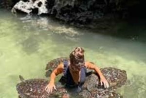 Zanzibar : nagez avec les tortues de mer à l'aquarium de Baraka ou de Salaam