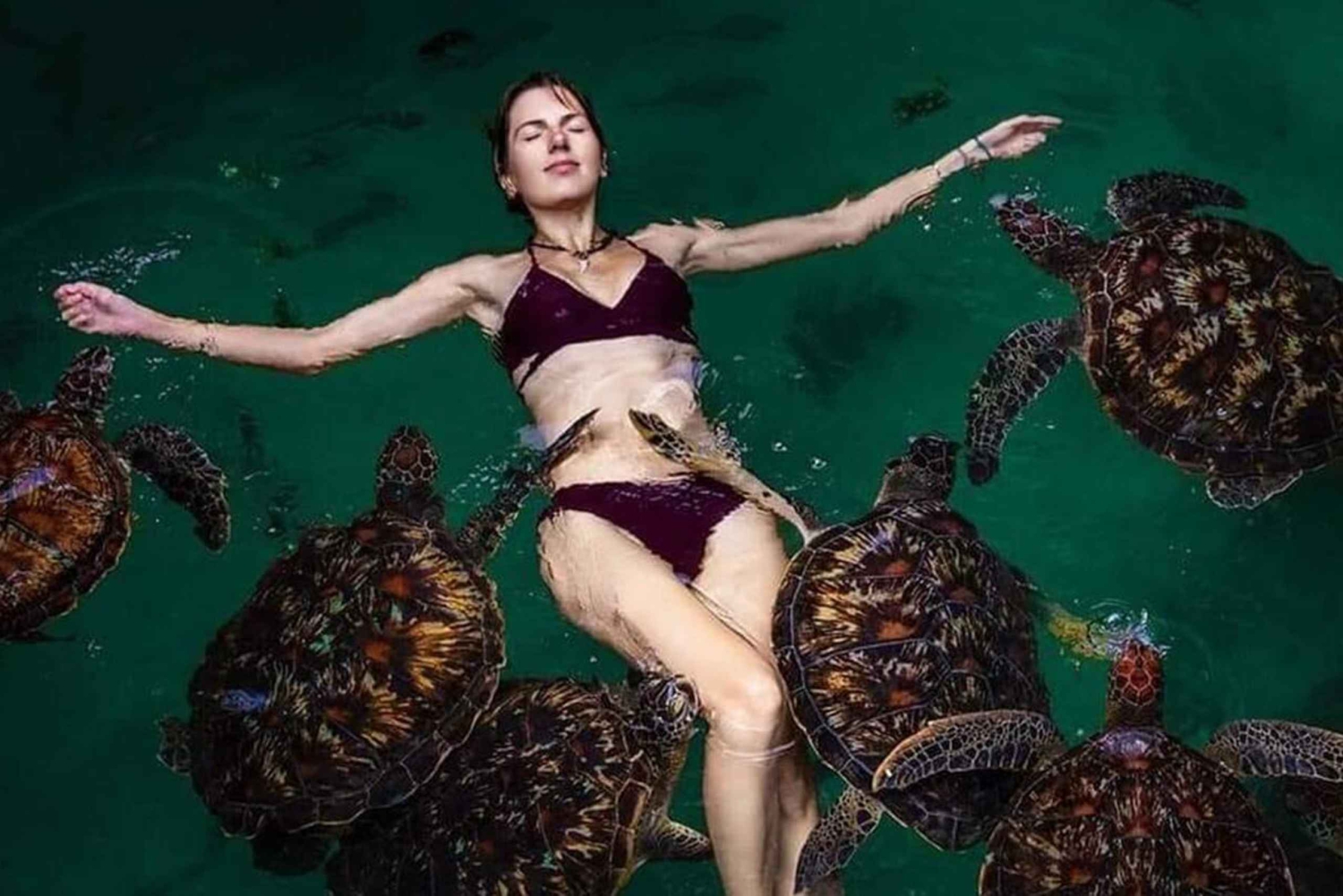 Zanzibar: Simma med havssköldpaddor vid Baraka eller Salaam-grottan