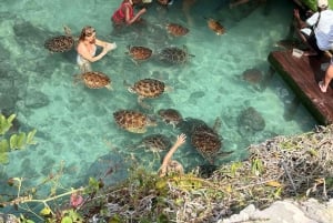 Zanzíbar: nada con tortugas marinas en la cueva de Salaam