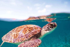Zanzibar: nuota con le tartarughe e fai snorkeling nella laguna di Nungwi