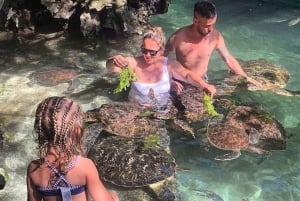 Zanzibar: nuota con le tartarughe e fai snorkeling nella laguna di Nungwi