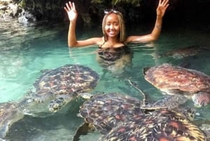 Zanzibar: tour per nuotare con le tartarughe marine