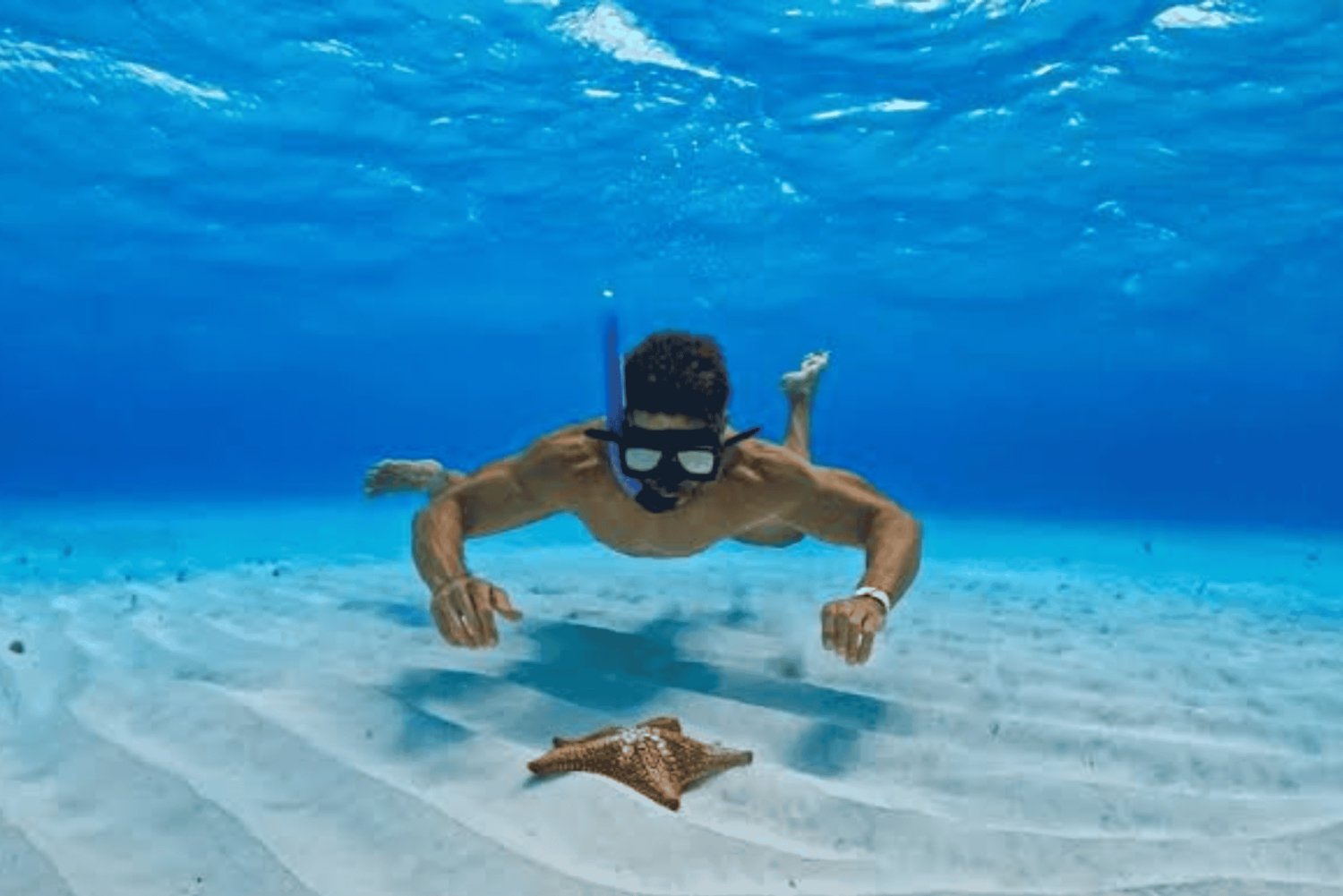 Zanzibar: Svøm med sjøstjerner og snorkle i Blue Lagoon