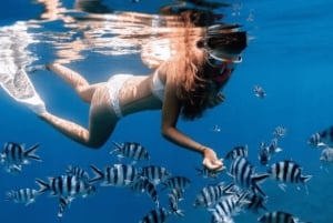 Zanzibar: Svøm med sjøstjerner og snorkle i Blue Lagoon