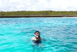 Zanzibar: Svøm med sjøstjerner og snorkle i Blue Lagoon