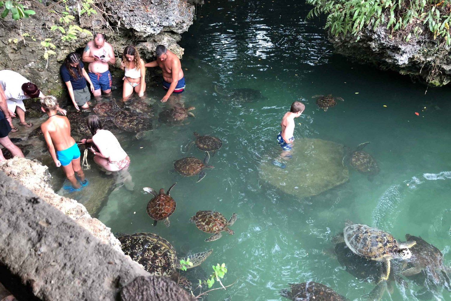 Zanzibar : Nager avec les tortues dans la grotte de Salaam à Kizimkazi